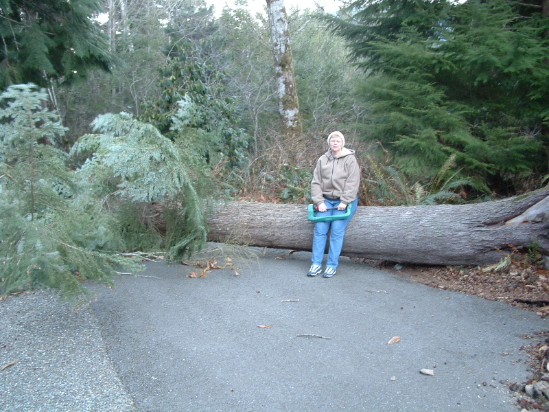 Wendy holding down the tree