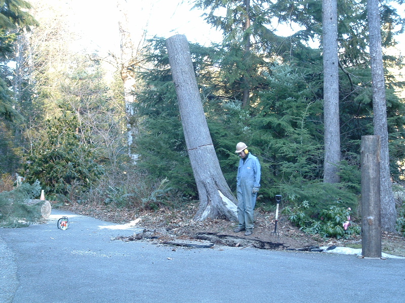 Rick examining the damage left