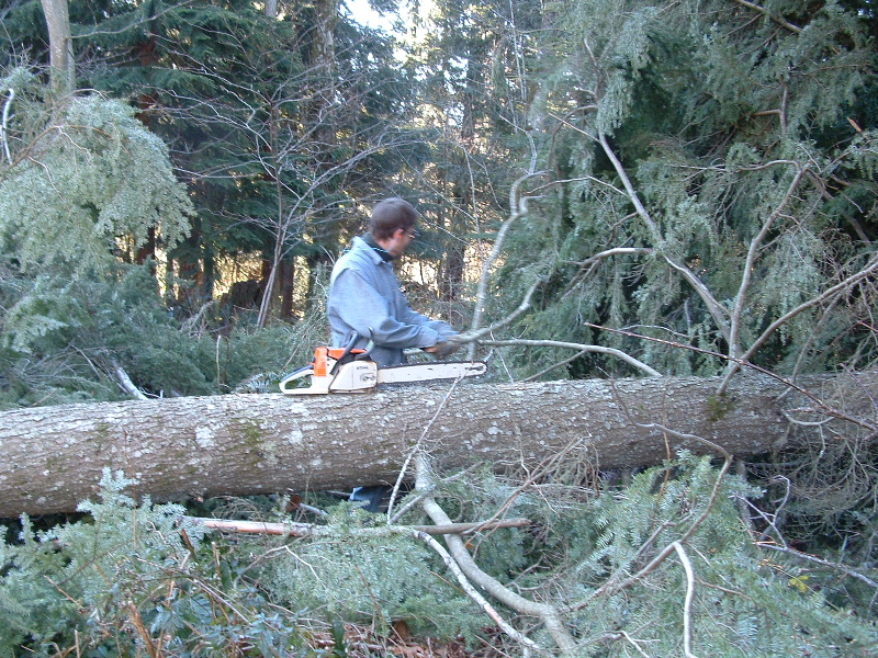 Doing some branch cutting