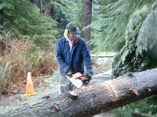 Rick cutting up the tree