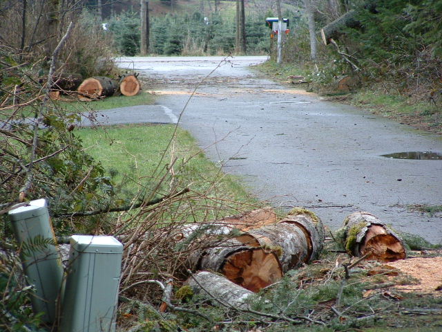 Our neighbors had a big tree down too which also blocked our driveway