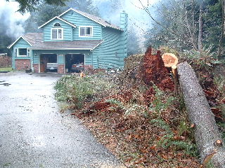 We started a fire in the back yard thus the smoke